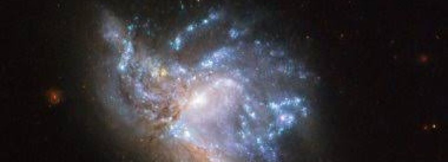 محمد صلاح Cover Image